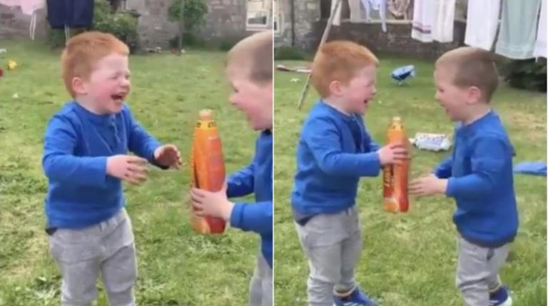 Two little boys laughing viral video