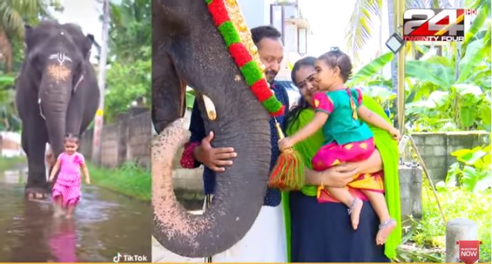 Social media trending Umadevi elephant and Bhama friendship story