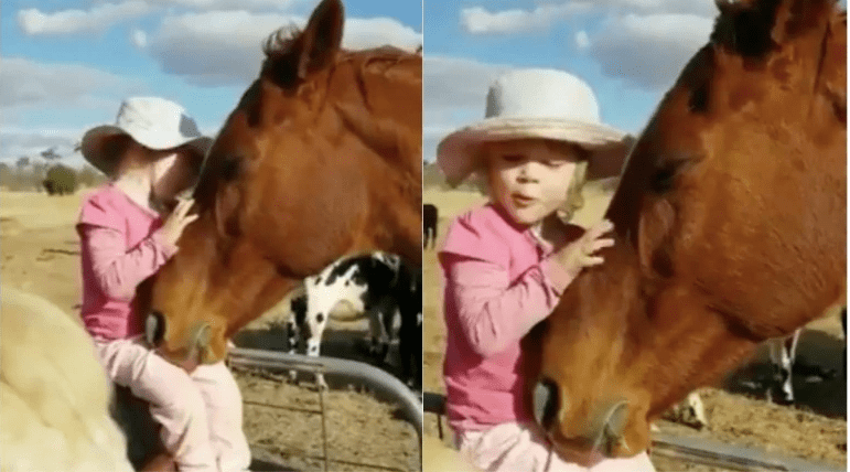 Viral video of little girl singing for her horse