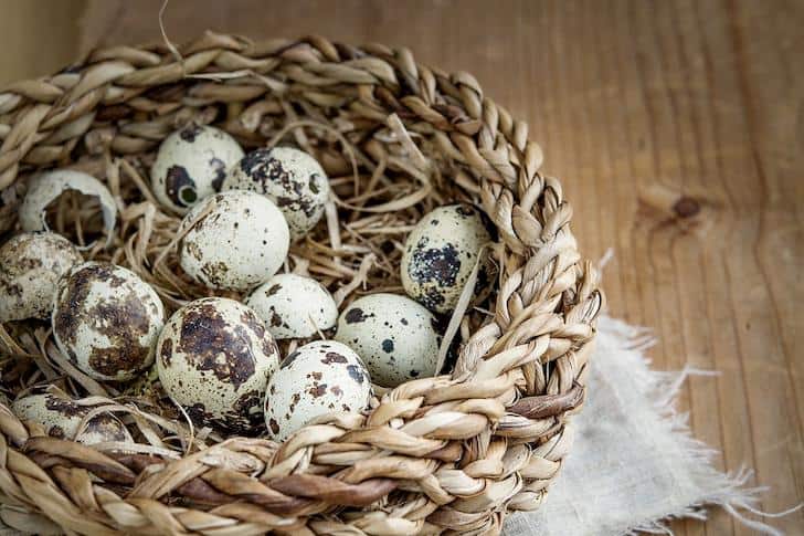 Special health benefits of quail eggs