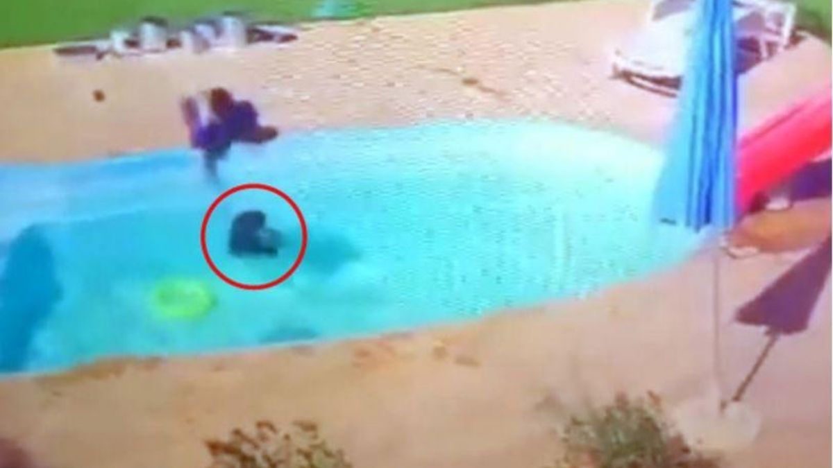 Three year old boy saves his friend from drowning in pool video