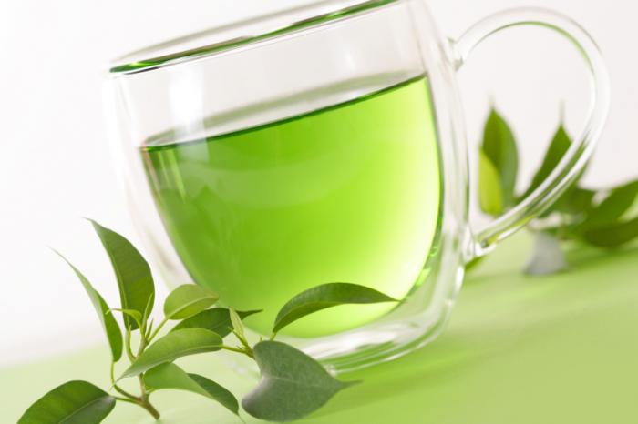 Green tea and its benefits