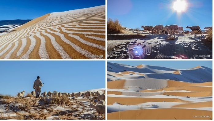 Ice Covered Sahara Desert
