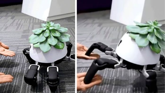 Hexa robot takes care of the plant on its head