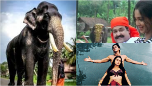 mangalamkunnu karnan