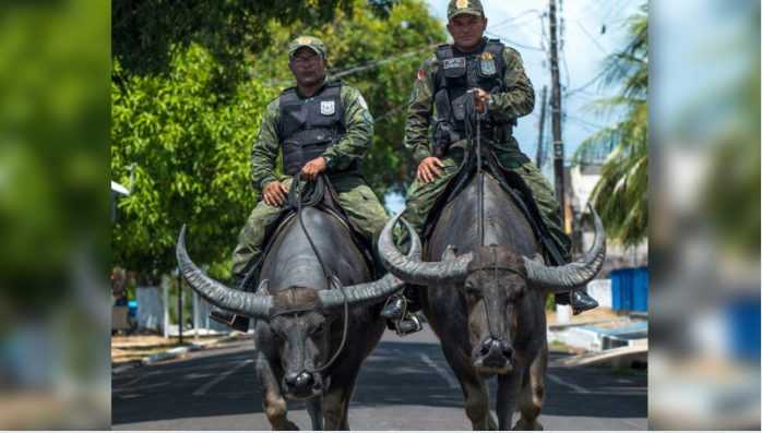buffalo soldiers patrol