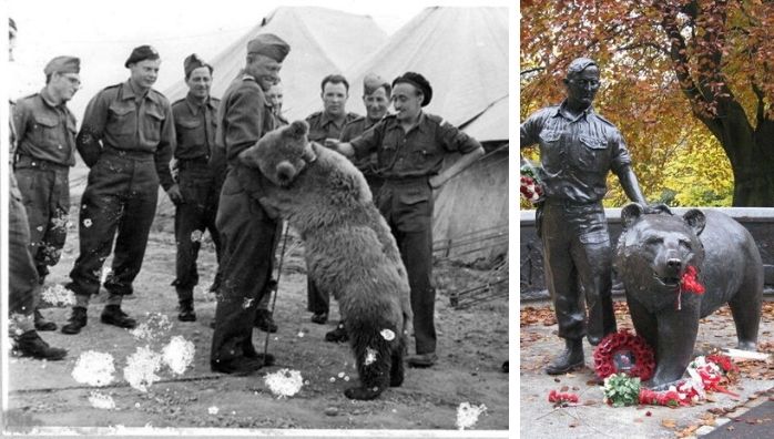 Wojtek Soldier bear