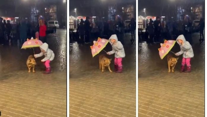 Little girl protects a dog in rain viral video