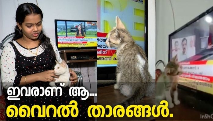 Behind the story of Cat trolling in Twenty Four News