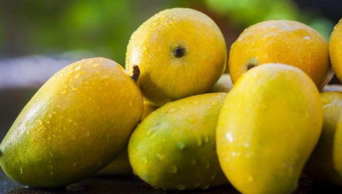 Noorjahan mangoes fetch up to Rs 1,000 apiece in Madhya Pradesh