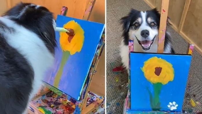 Pet dog uses paintbrush to draw a flower on canvas