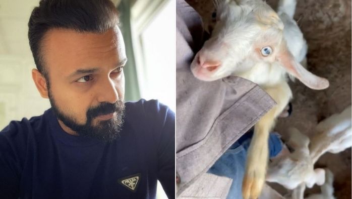 Kunchacko Boban shares funny video of goats