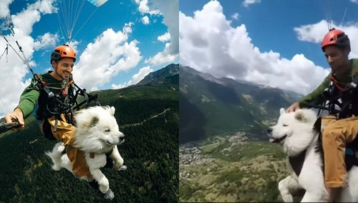 Dog paragliding viral video