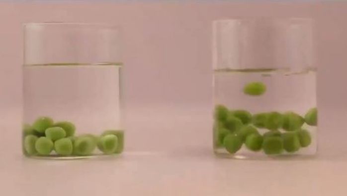 Story highlights: Detecting Artificial Colour Adulteration in Green Peas