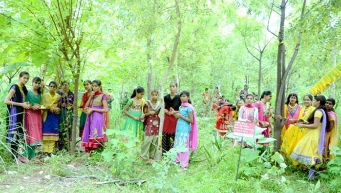 Pipilantry Village that celebrates girl-child by planting trees